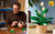LEGO - 11504 SPATIFILLO LEGO BOTANICALS - 2250017838 LEGO 14 | Trony.it