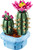 LEGO - 11509 CACTUS IN FIORE - 2250017917 LEGO 1 | Trony.it