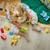 LEGO - 10477 ANIMALI DOMESTICI CREATIVI 3 IN 1 - 2260001206 LEGO 7 | Trony.it