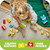 LEGO - 10477 ANIMALI DOMESTICI CREATIVI 3 IN 1 - 2260001206 LEGO 20 | Trony.it