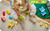 LEGO - 10477 ANIMALI DOMESTICI CREATIVI 3 IN 1 - 2260001206 LEGO 22 | Trony.it