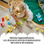 LEGO - 10477 ANIMALI DOMESTICI CREATIVI 3 IN 1 - 2260001206 LEGO 30 | Trony.it