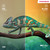 THOMSON - 50MG7C15 - 2250014586 THOMSON 2 | Trony.it