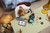 LEGO - 42227 SUV JEEP WRANGLER RUBICON - 2260001257 LEGO 19 | Trony.it