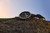 AMAZFIT - T-REX ULTRA 2 - 2260002180 AMAZFIT 14 | Trony.it