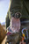 AMAZFIT - T-REX ULTRA 2 - 2260002180 AMAZFIT 31 | Trony.it