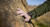 AMAZFIT - T-REX ULTRA 2 - 2260002180 AMAZFIT 32 | Trony.it