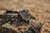 AMAZFIT - T-REX ULTRA 2 - 2260002180 AMAZFIT 10 | trony.live
