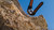 AMAZFIT - T-REX ULTRA 2 - 2260002180 AMAZFIT 18 | trony.live