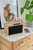 THOMSON - WS302 - 2260003662 THOMSON 1 | Trony.it