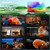 HISENSE - 32A59S - 2260002205 HISENSE 9 | trony.live