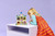 LEGO - 43284 DISNEY PRINCESS MINI-ANNA E MINI-ELSA - 2260003759 LEGO 5 | Trony.it