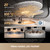 DREAME - MATRIX 10 PROVIM - 2260004354 DREAME 8 | trony.live