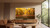TCL - 55C8L - 2260004175 TCL 5 | Trony.it
