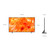 SAMSUNG - QE65QN70HAUXZT - 2260005831 SAMSUNG 3 | trony.live