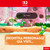 NINTENDO - YOSHI AND THE MYSTERIOUS BOOK - 2260003400 NINTENDO 4 | Trony.it