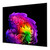 LG ELECTRONICS - OLED EVO AI G6 OLED77G64LW - 2260004837 LG ELECTRONICS 24 | bottegaverde.live