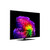LG ELECTRONICS - OLED EVO AI G6S OLED55G66LS - 2260004826 LG ELECTRONICS 27 | bottegaverde.live