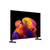 LG ELECTRONICS - OLED AI B6E OLED55B6ELC - 2260004891 LG ELECTRONICS 17 | bottegaverde.live