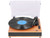 TREVI - VT 1025 BT GIRADISCHI+AW+WLESS IN-OUT LEGNO - 2260007068 TREVI 1 | trony.live