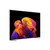 LG ELECTRONICS - OLED AI B6E OLED83B6ELB - 2260004876 LG ELECTRONICS 22 | Trony.it