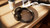 PHILIPS - TAH2100BK/00 - 2260003215 PHILIPS 8 | Trony.it