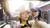 PHILIPS - TAMS1YL/00 - 2260005329 PHILIPS 21 | trony.lol