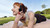 PHILIPS - TAMS1BK/00 - 2260005328 PHILIPS 18 | Trony.it