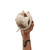 MARSHALL - MAJOR V - 2240022160 MARSHALL 4 | trony.live