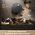 DREAME - X60 VIM PRO ULTRA COMPLETE GREY - 2260006839 DREAME 10 | Trony.it