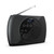THOMSON - RT350DAB - 2260008359 THOMSON 0 | Trony.it