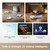 DREAME - X60VIM PRO ULTRA COMPLETE - 2260008455 DREAME 11 | Trony.it