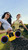 PHILIPS - TAMS60Y/00 - 2260006797 PHILIPS 18 | trony.live