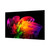 LG ELECTRONICS - WALLPAPER TV OLED EVO AI W6 OLED83W69LA - 2260008023 LG ELECTRONICS 25 | trony.live