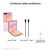 SAMSUNG - Galaxy Z Flip8 12+256GB Pink - 2260008690 SAMSUNG 8 | bottegaverde.live