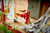LEGO - 31379 FEROCE DINOSAURO - 2250017703 LEGO 19 | trony.lol