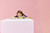 LEGO - 42678 FURGONE DI ACCESSORI PER ANIMALI - 2260001214 LEGO 6 | trony.lol