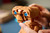 LEGO - 21370 IDEAS E.T. THE EXTRA-TERRESTRIAL - 2260008297 LEGO 16 | Trony.it