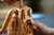 LEGO - 21370 IDEAS E.T. THE EXTRA-TERRESTRIAL - 2260008297 LEGO 17 | trony.live