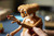 LEGO - 21370 IDEAS E.T. THE EXTRA-TERRESTRIAL - 2260008297 LEGO 23 | trony.live
