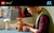 LEGO - 21370 IDEAS E.T. THE EXTRA-TERRESTRIAL - 2260008297 LEGO 31 | trony.live