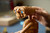 LEGO - 21370 IDEAS E.T. THE EXTRA-TERRESTRIAL - 2260008297 LEGO 60 | trony.live