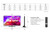 PHILIPS - 55PQS9011/12 - 2260008483 PHILIPS 2 | bottegaverde.live