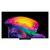 LG ELECTRONICS - OLED EVO AI C6 PRO OLED83C66LB - 2260004853 LG ELECTRONICS 18 | bottegaverde.live