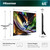 HISENSE - 65ER8S - 2260009769 HISENSE 1 | Trony.it