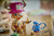 LEGO - 75643 ONE PIECE TONYTONY CHOPPER - 2260011401 LEGO 2 | Trony.it