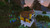 NINTENDO - MINECRAFT - 2260010699 NINTENDO 3 | trony.live