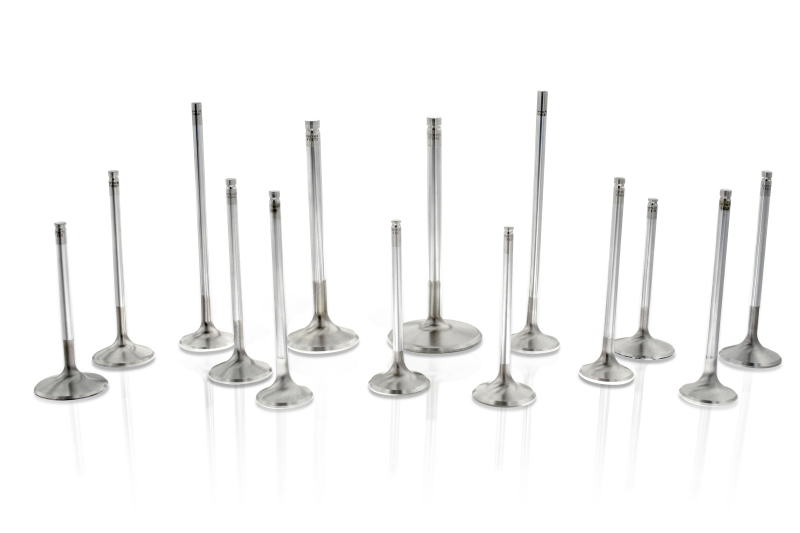 Ferrea Ford Zetec ZX3 28.96mm 6.012mm 97.16mm 25 Deg Flo +1mm Super Alloy Exhaust Valve - Set of 8 - F1818P