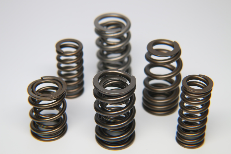 Ferrea 1.225in to 1.570in Dia 1.005/1.43 OD 0.73/1.07 ID Dual w/Damper Valve Spring - Set of 16 - S10006