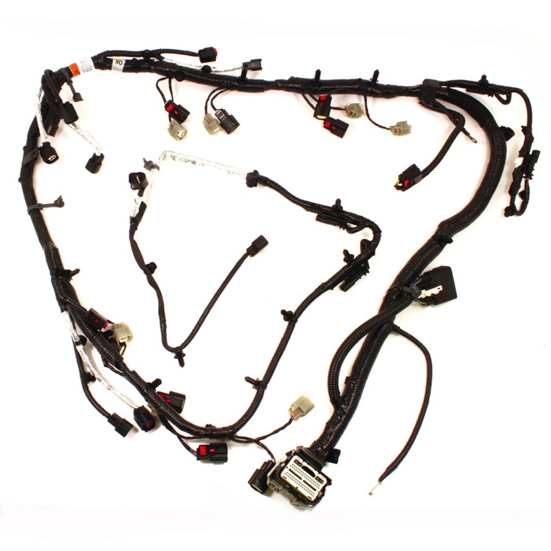 Ford Racing 5.0L Coyote Engine Harness - M-12508-M50